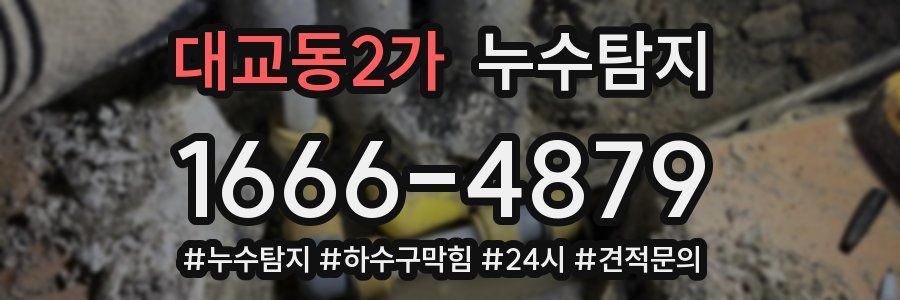 누수닥터 누수탐지