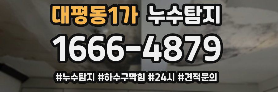 누수닥터 누수탐지