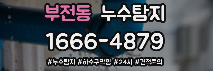 누수닥터 누수탐지