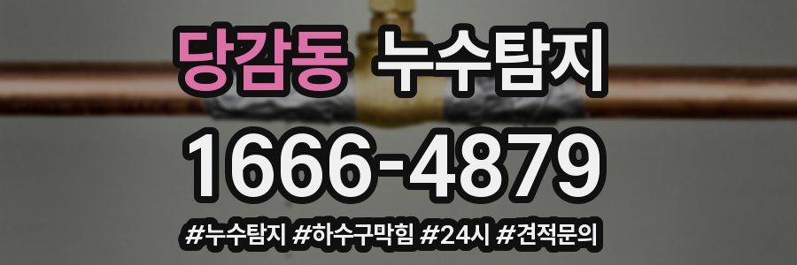 누수닥터 누수탐지