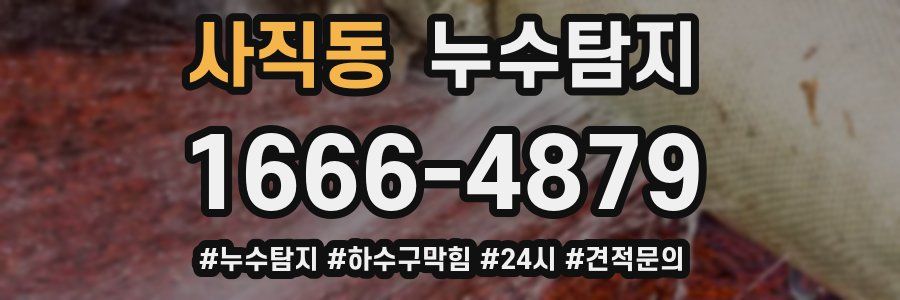 누수닥터 누수탐지