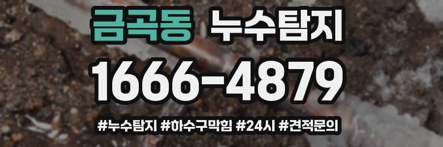 누수닥터 누수탐지