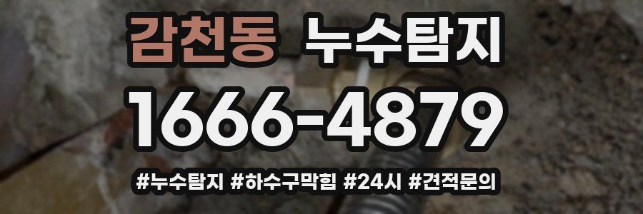 누수닥터 누수탐지