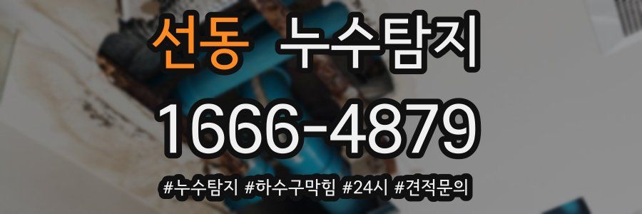 누수닥터 누수탐지