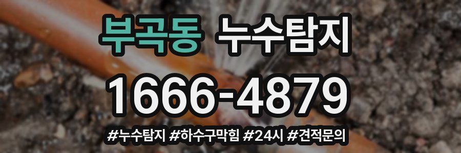 누수닥터 누수탐지