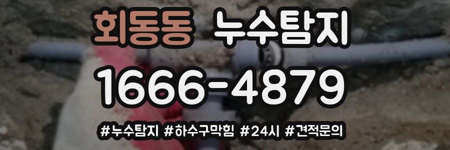 누수닥터 누수탐지