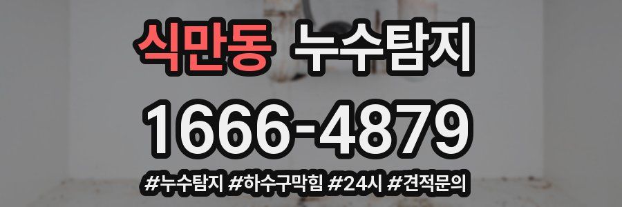 누수닥터 누수탐지