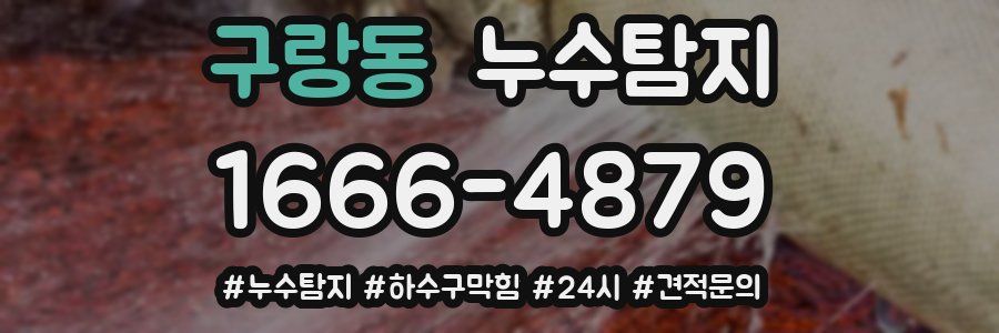 누수닥터 누수탐지