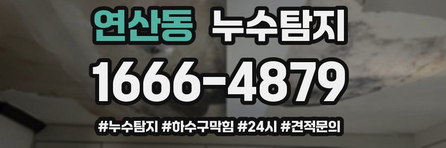 누수닥터 누수탐지