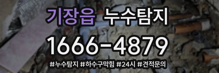 누수닥터 누수탐지