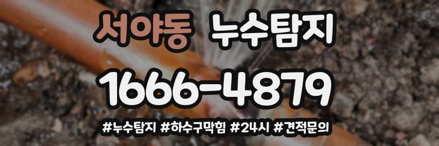 누수닥터 누수탐지