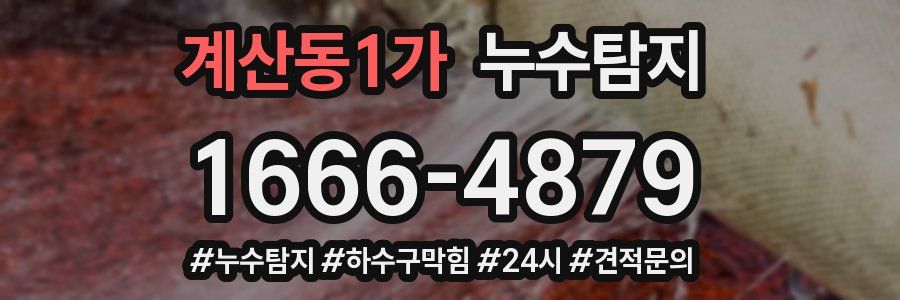 누수닥터 누수탐지