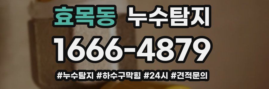 누수닥터 누수탐지