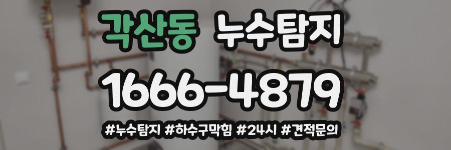 누수닥터 누수탐지