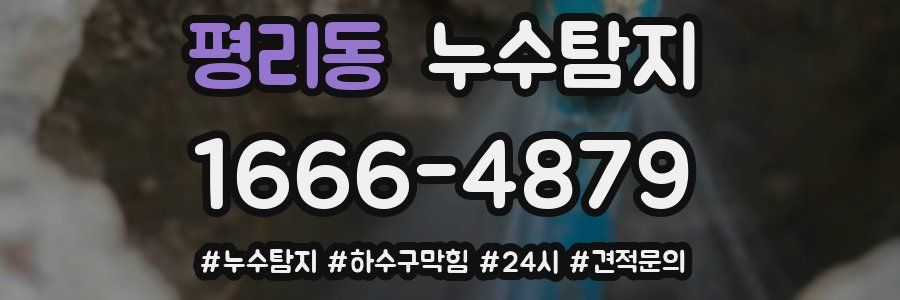 누수닥터 누수탐지