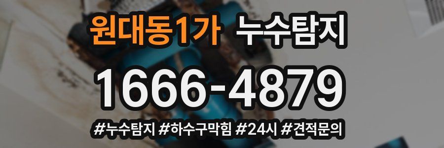 누수닥터 누수탐지