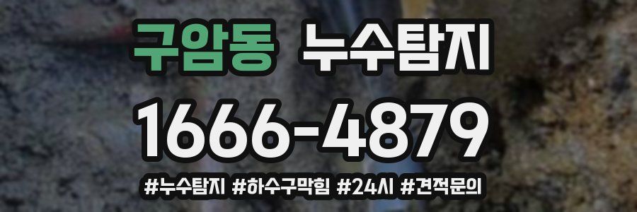 누수닥터 누수탐지