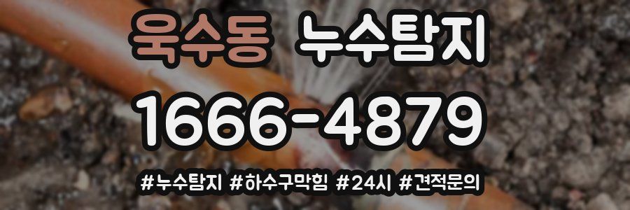 누수닥터 누수탐지
