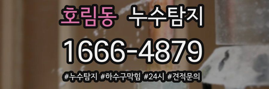 누수닥터 누수탐지