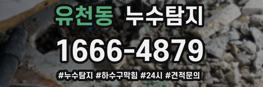 누수닥터 누수탐지