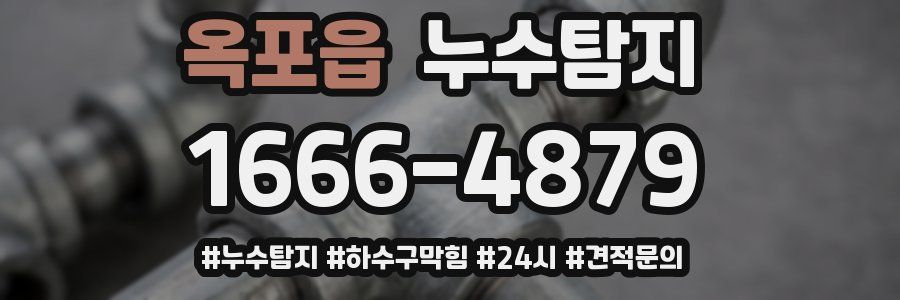 누수닥터 누수탐지