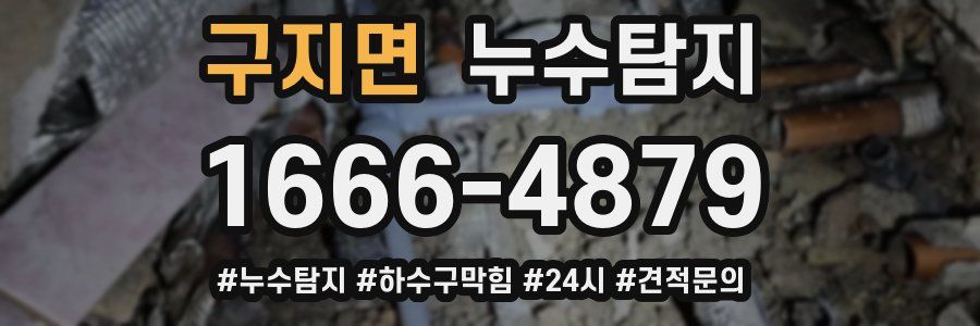 누수닥터 누수탐지