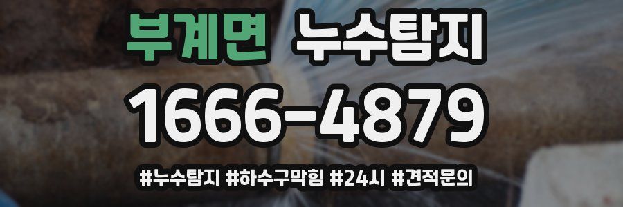 누수닥터 누수탐지