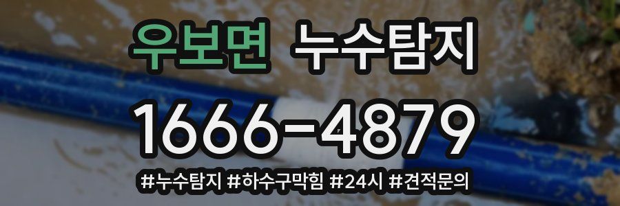 누수닥터 누수탐지