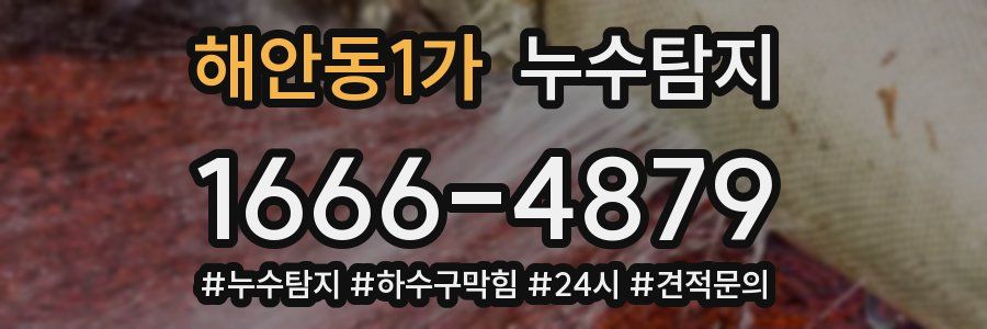 누수닥터 누수탐지