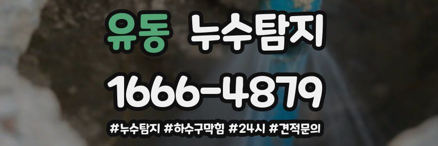 누수닥터 누수탐지
