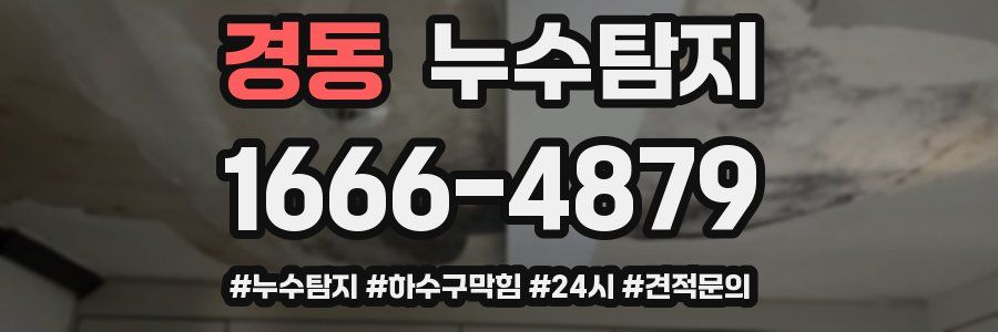 누수닥터 누수탐지