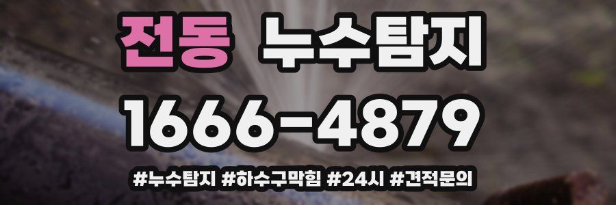 누수닥터 누수탐지