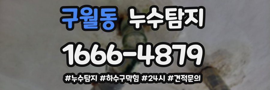 누수닥터 누수탐지