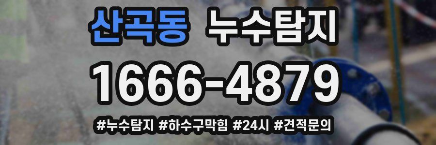 누수닥터 누수탐지