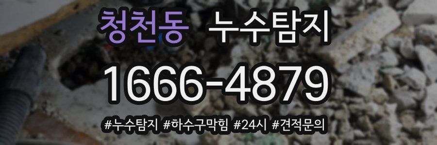 누수닥터 누수탐지