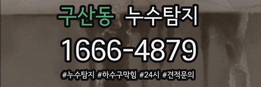 누수닥터 누수탐지