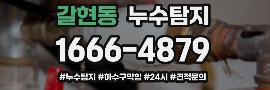 누수닥터 누수탐지