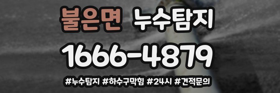 누수닥터 누수탐지