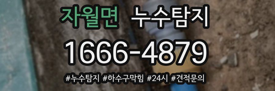 누수닥터 누수탐지
