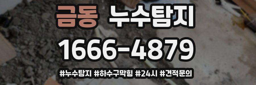 누수닥터 누수탐지