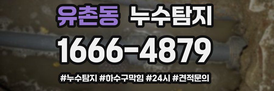 누수닥터 누수탐지