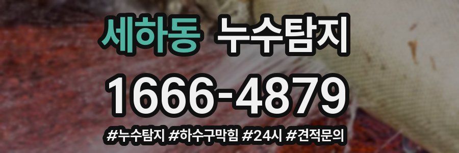 누수닥터 누수탐지