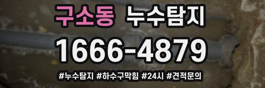 누수닥터 누수탐지