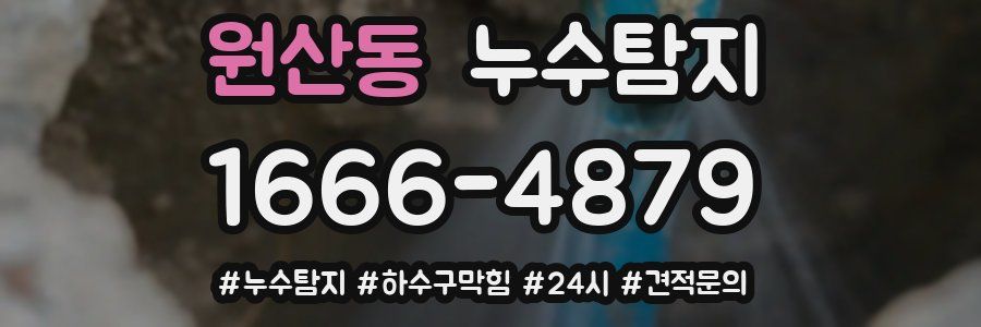 누수닥터 누수탐지