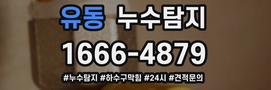 누수닥터 누수탐지