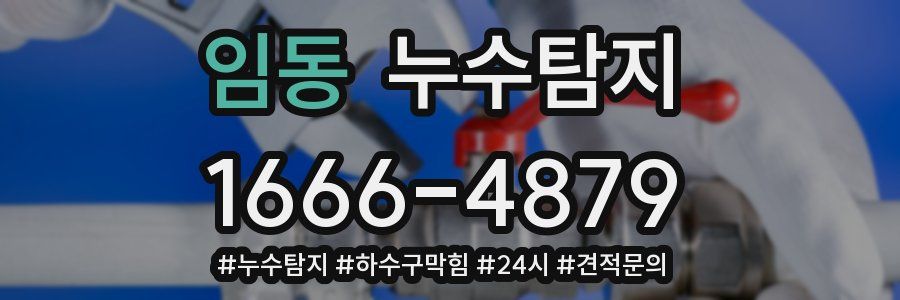 누수닥터 누수탐지