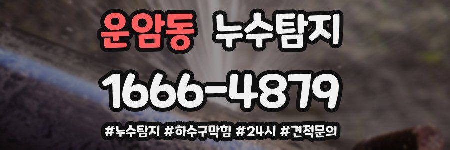 누수닥터 누수탐지