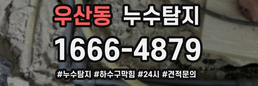누수닥터 누수탐지
