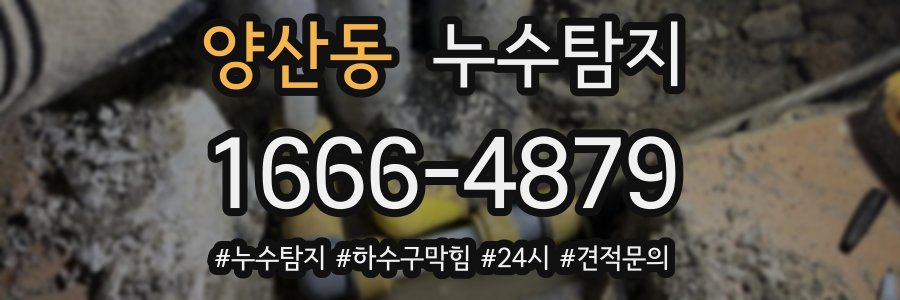 누수닥터 누수탐지