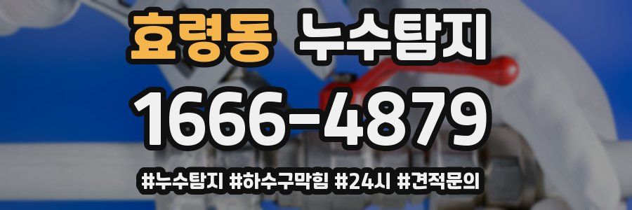 누수닥터 누수탐지